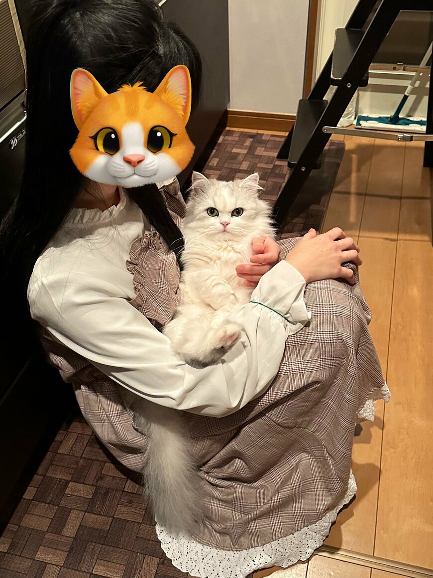 出所：@NEKOLAND13