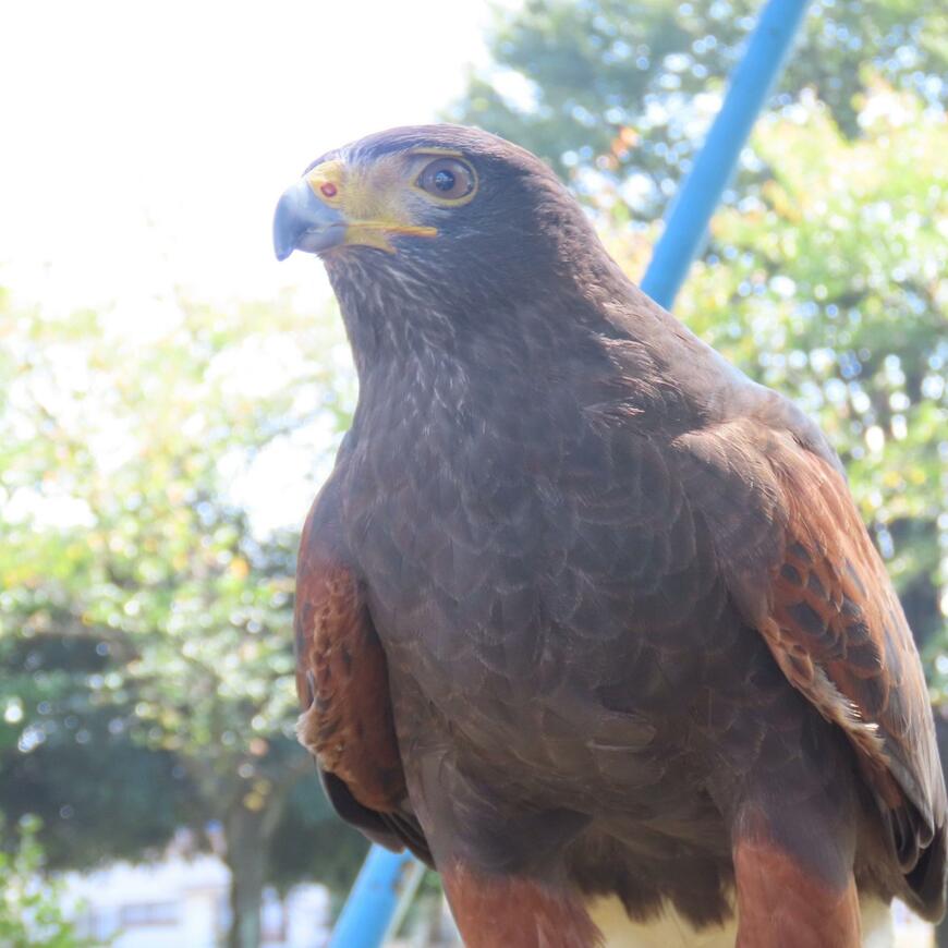 出所：@jack_nick1129