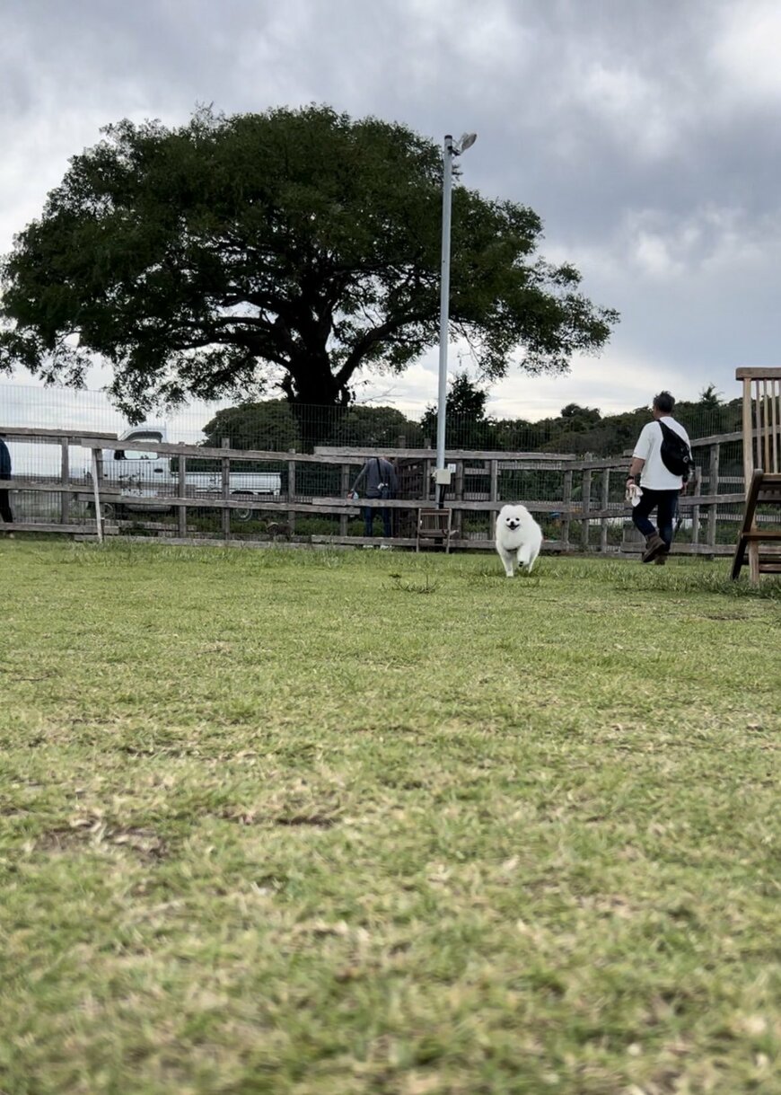 出所：@boku_ponchan