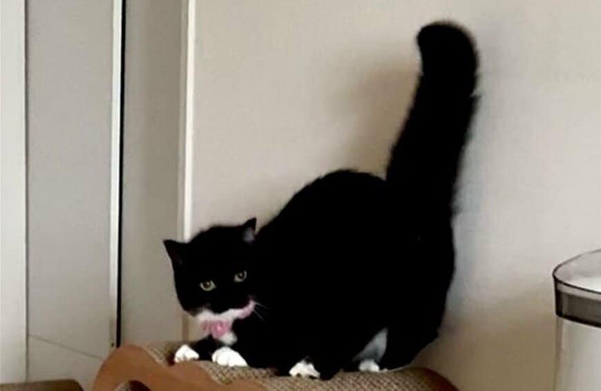 出所：@unicouniuni3