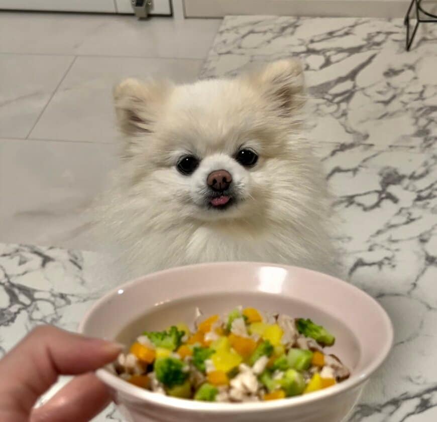 出所：@boku_ponchan