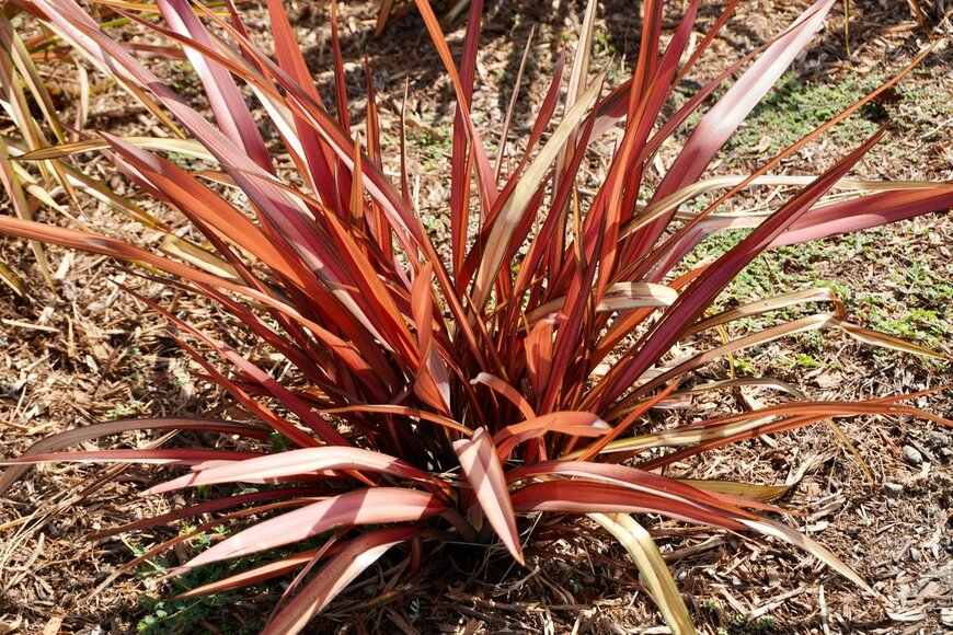 Chris Mann/shutterstock.com