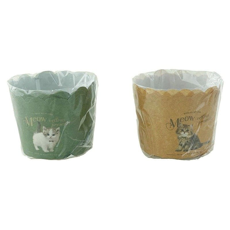 出所：キャンドゥ公式　マフィンカップＭ　6P　レトロキャット