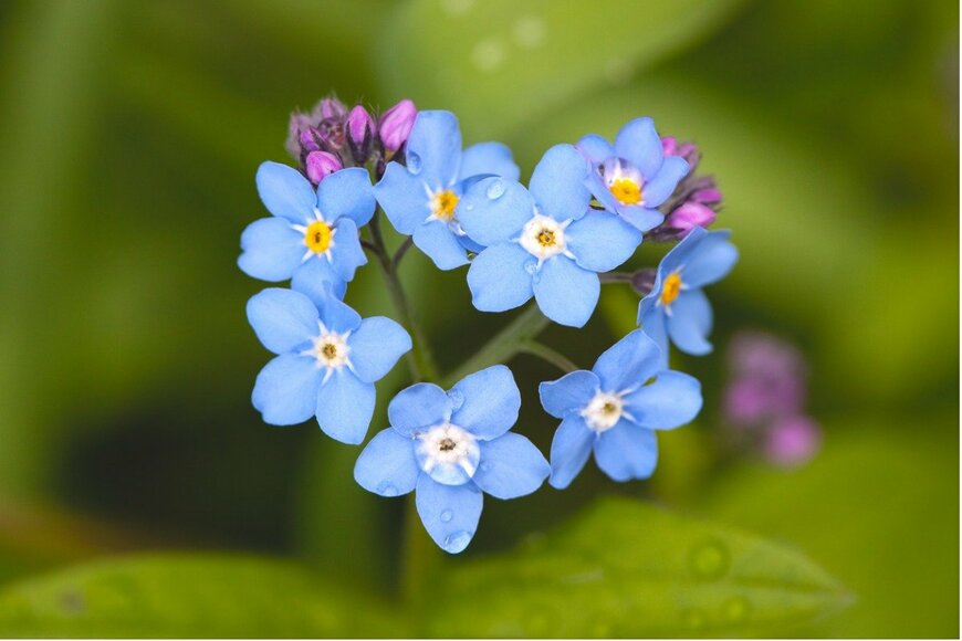 Birute/istockphoto.com