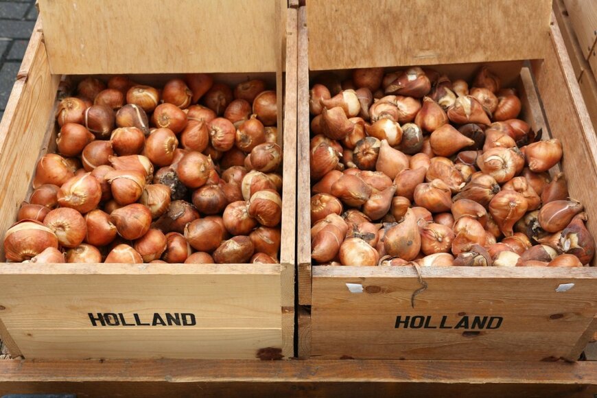 Tupungato/istockphoto.com