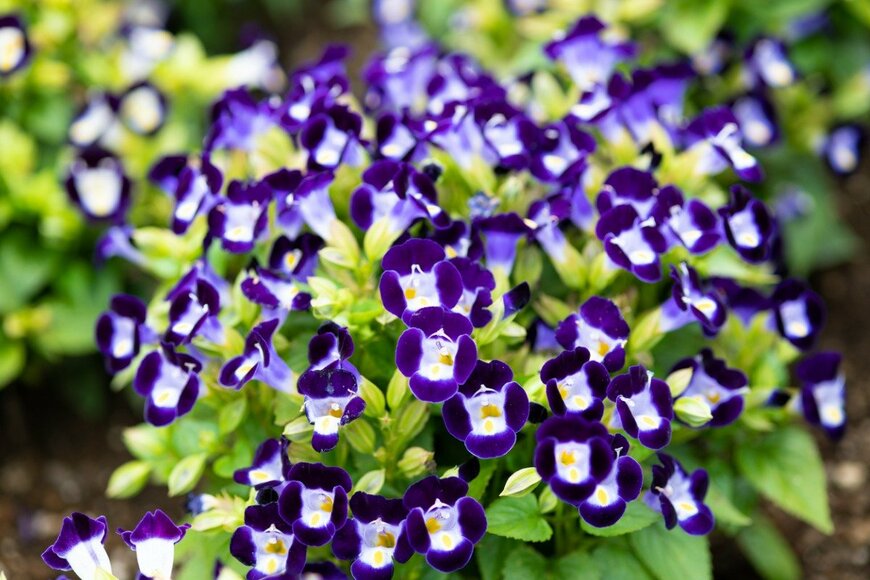 marinowifi/istockphoto.com