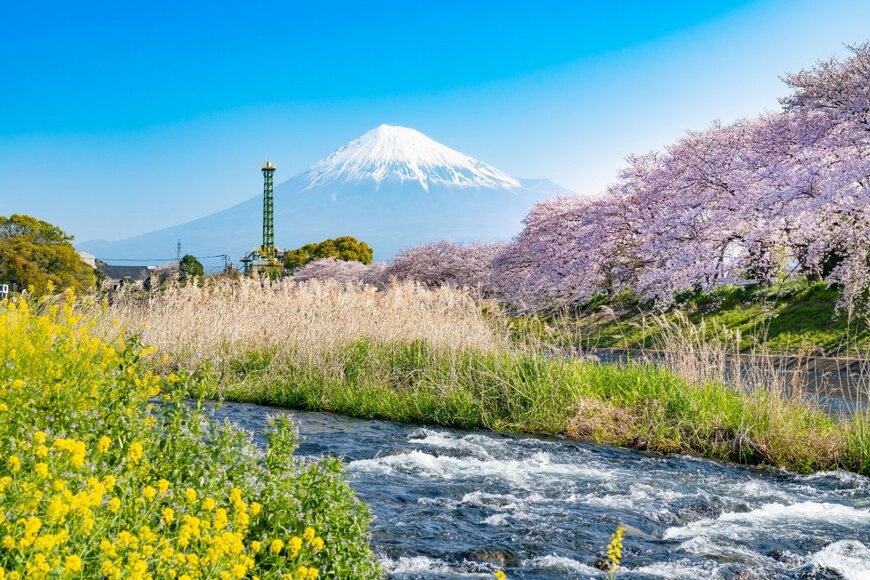 SKY Stock/shutterstock.com