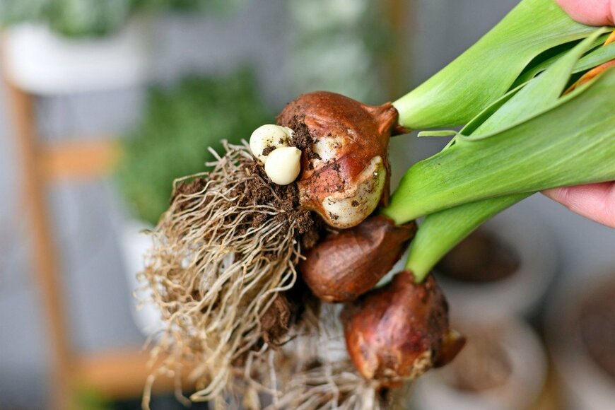 Firn/istockphoto.com