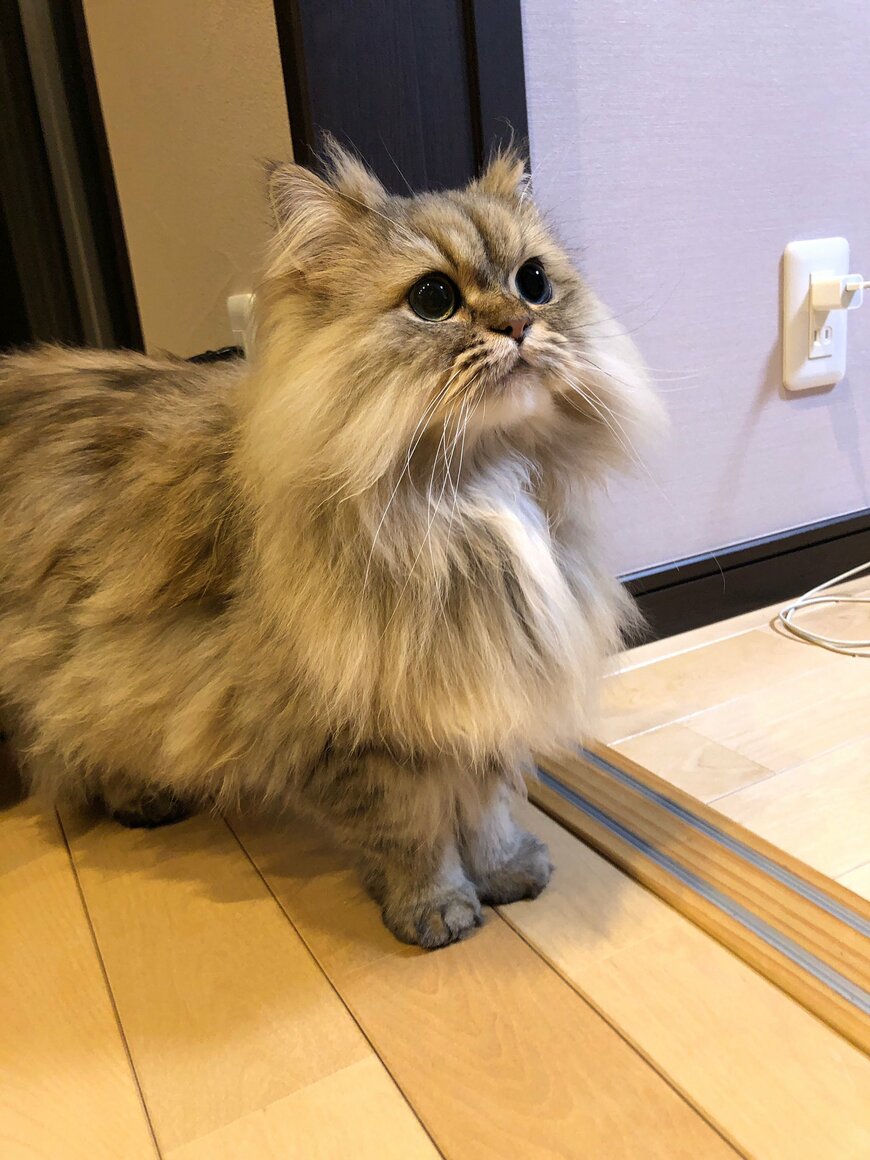 出所：@UphQepCv8J