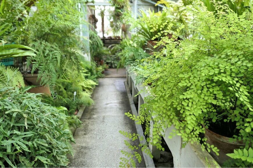 Studio Barcelona/Shutterstock.com