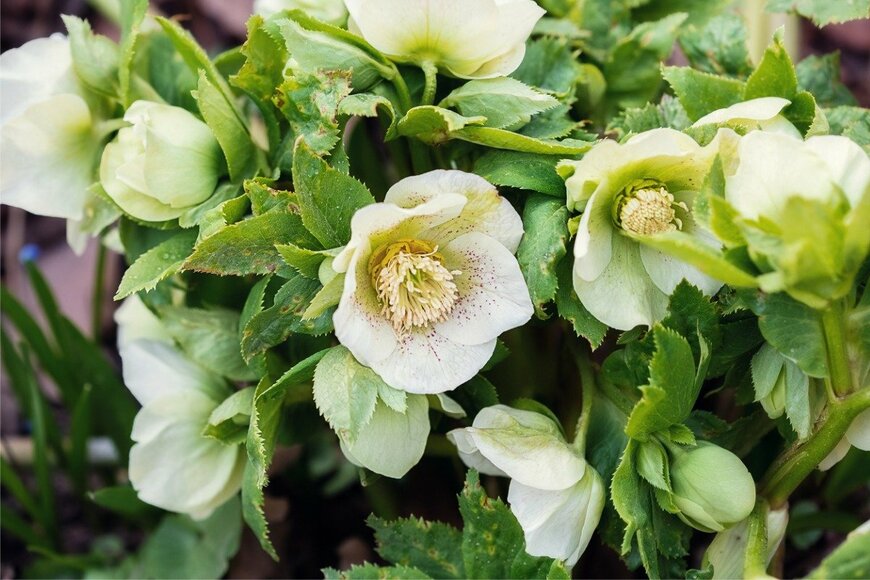 Galina Sharapova/istockphoto.com