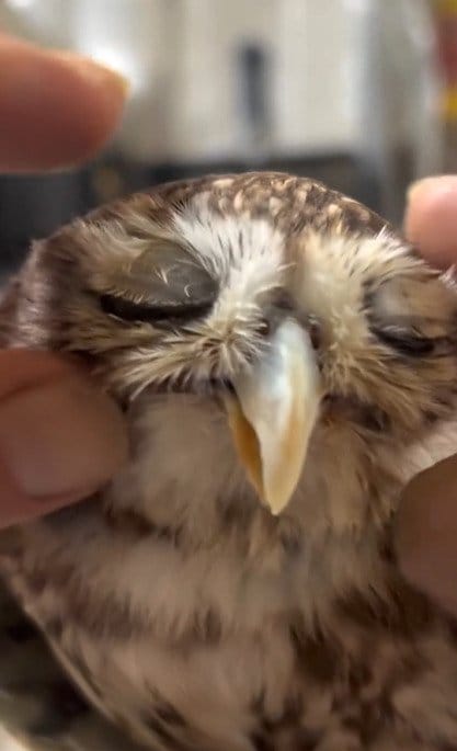 出所：@cr8673.hiro