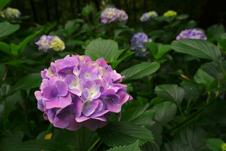 Amstk/istockphoto.com