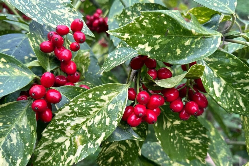 Pro-Pixels/shutterstock.com