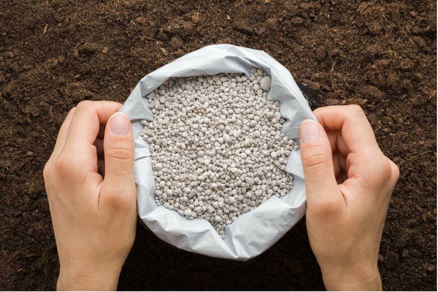 FotoDuets/istockphoto.com