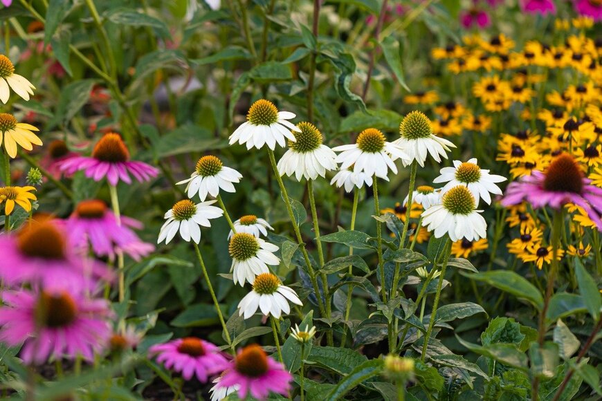 jokuephotography/istockphoto.com