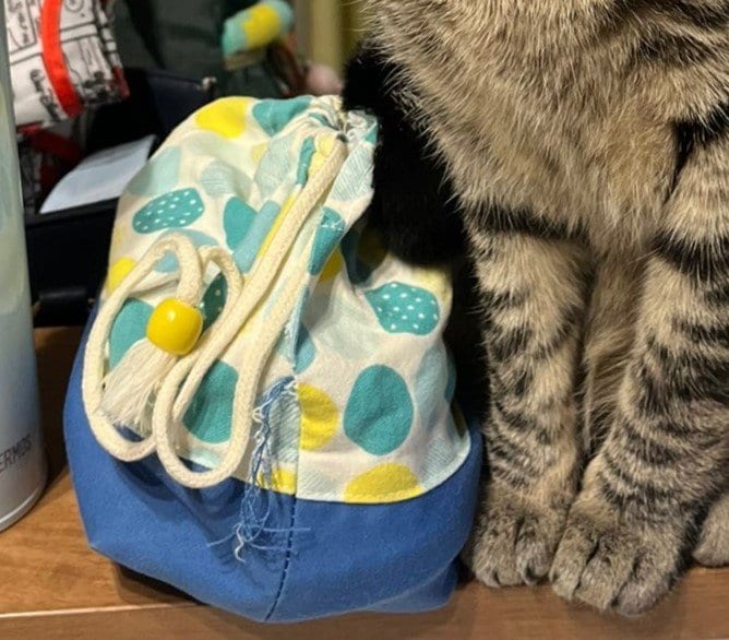 弁当箱と猫の足