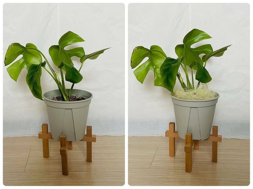 セリア「スリット鉢130mm」「ココナッツファイバー」