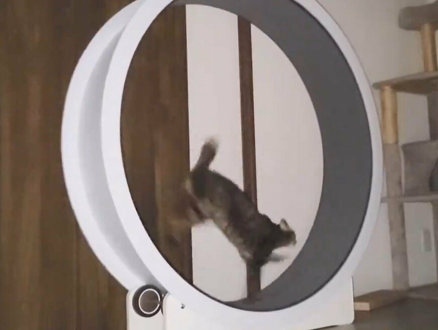 とんでもない脚力を持っている