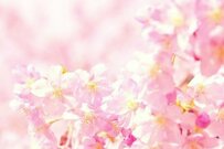 4月は年金支給月！【厚生年金】「ひと月16万円」の男性の割合はどのくらい？