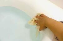 【参考になる】シンプリストさんの“お風呂掃除ルーティン”にSNSで注目 - 「ながら」を極めた超効率ワザ