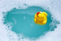 浴室で撮影された「天然のアヒル風呂」に思わず目を疑う　「俺が知ってるアヒル風呂と違う」