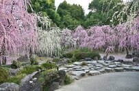 【2024年版】2月～3月に行きたい関西の梅の名所5選！ライトアップ・限定御朱印があるイベントも紹介