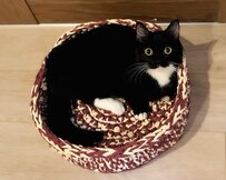 【1万いいね】可愛い元保護猫ちゃんの朝の任務　「いいな～」「可愛すぎる」と話題