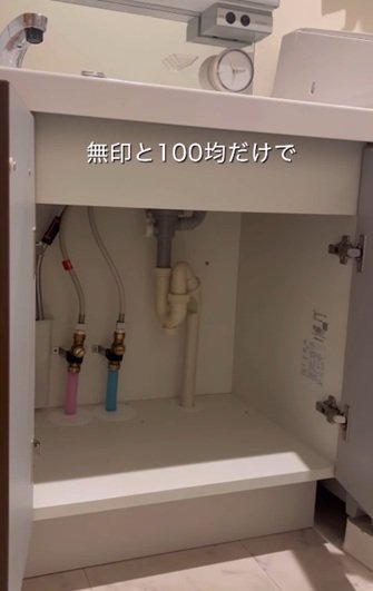 変身前の洗面台下