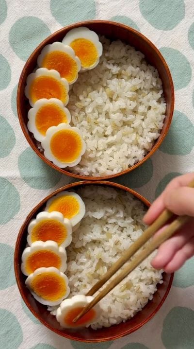 投稿の画像