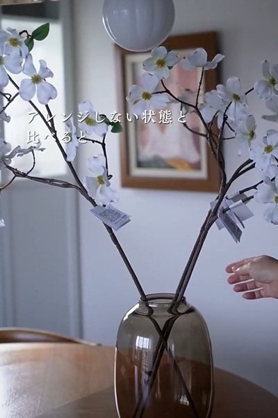 投稿の画像