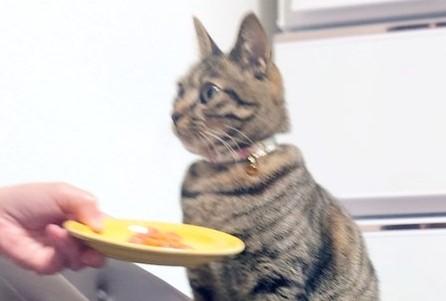 出所：@Mh0MLiErcV8E97C