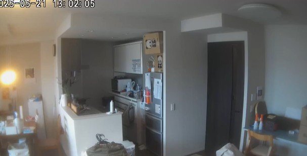 【驚き】ペットカメラに映る「ひとりでに動く段ボール」…予想外の犯人にホッコリ！
