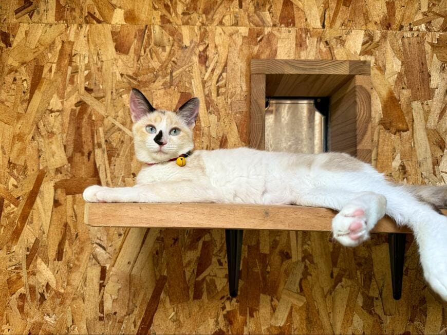 出所：@omochi_nam01