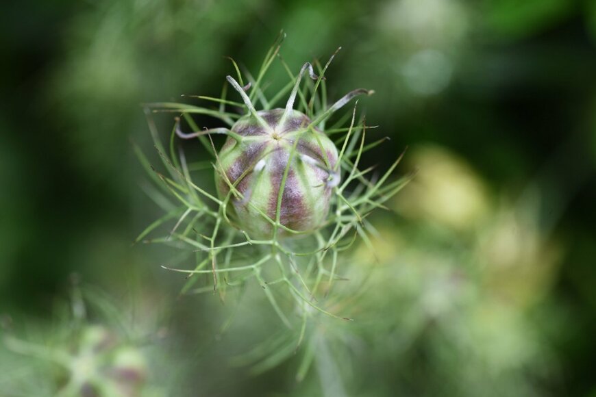 tamu1500/istockphoto.com