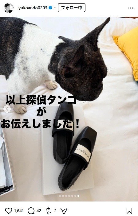 出所：安藤優子のInstagram（＠yukoando0203）　参照日：2026年4月6日
