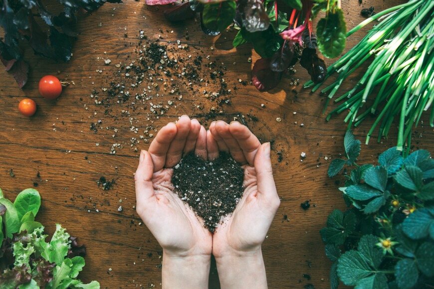 Daniel de la Hoz/istockphoto.com