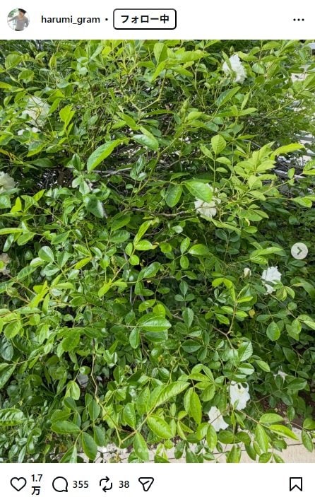 出所：栗原はるみのInstagram（＠harumi_gram） 参照日：2026年4月22日
