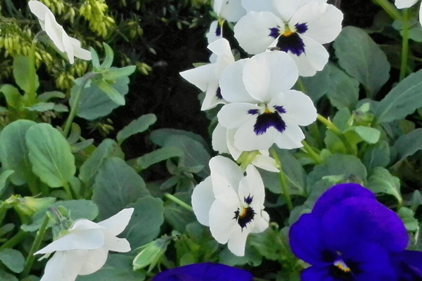 Giawgoi/istockphoto.com