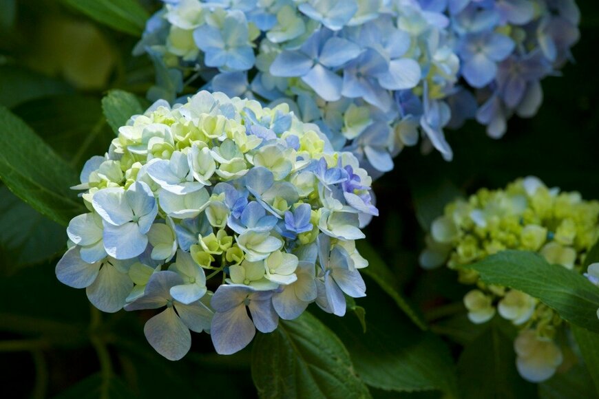 Billy_Fam/istockphoto.com