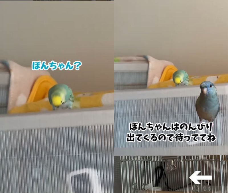 出所：daiinkoteikoku_soraoto