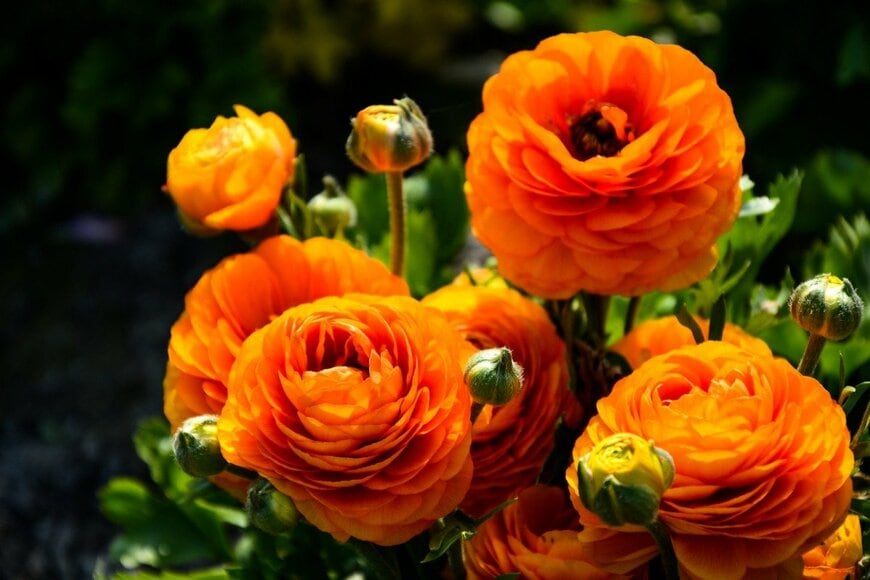 liuyushan/istockphoto.com