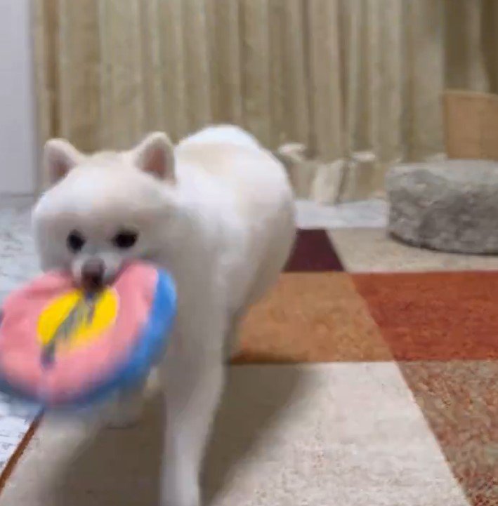 出所：@boku_ponchan