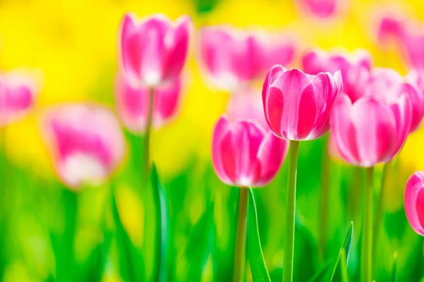 maoyunping/shutterstock.com