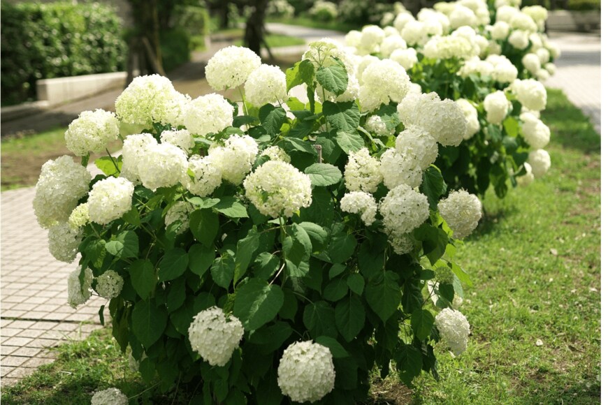 TokioMarineLife/istockphoto.com