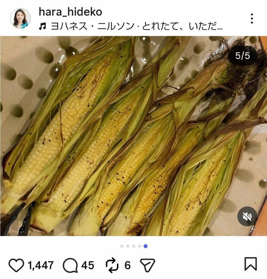 出所：原日出子のInstagram（＠hara_hideko）参照日：2026年6月24日