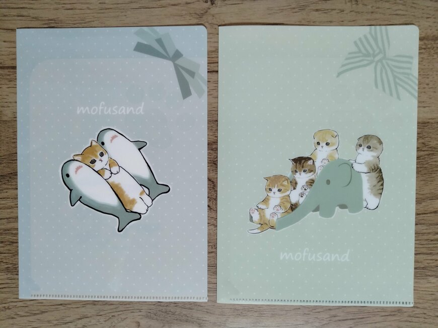 筆者撮影（セリア、mofusand A5 見開きファイル）