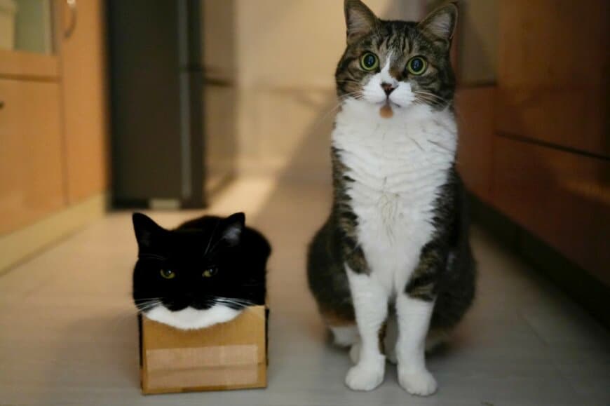 出所：@unicouniuni3