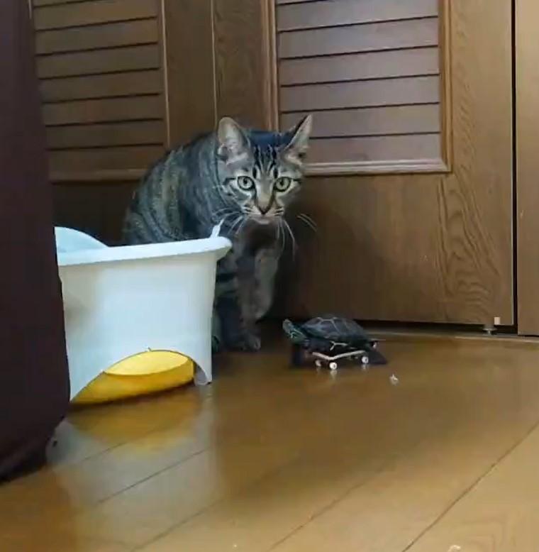 出所：@Mh0MLiErcV8E97C