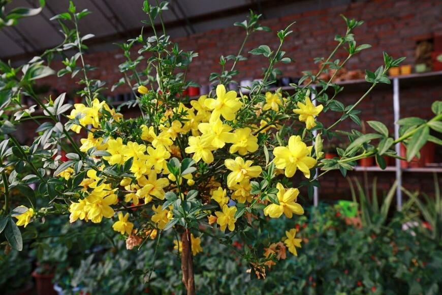 Lnzyx/istockphoto.com